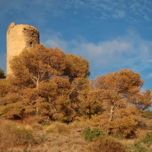 Tower Torre de Melicena